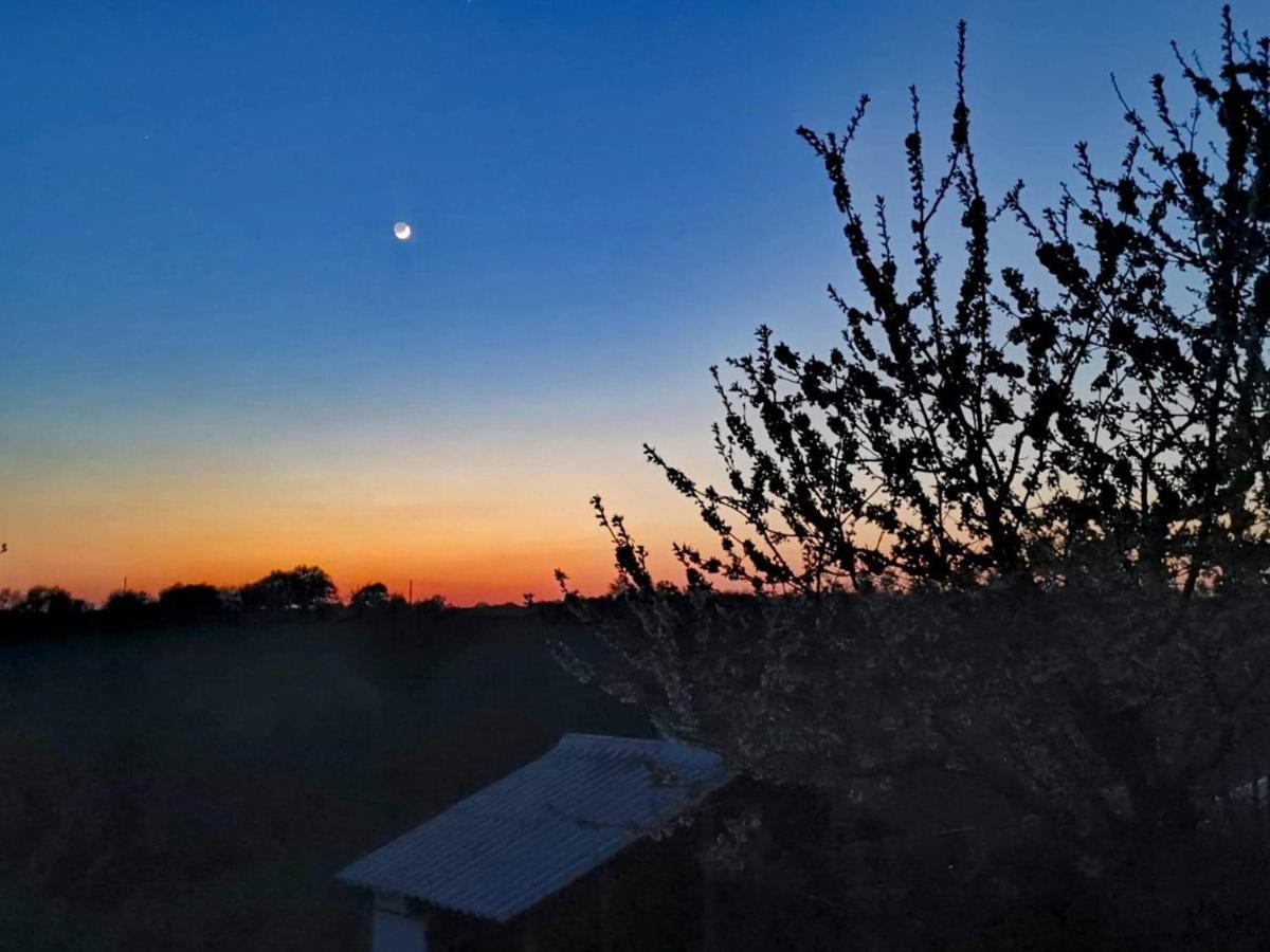 Gite Mimosa Saint-Florent-des-Bois Eksteriør billede